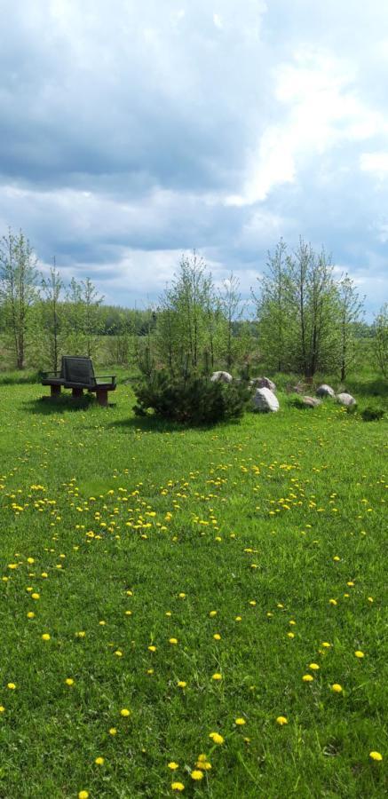 Ponka Guesthouse Jõesuu Buitenkant foto